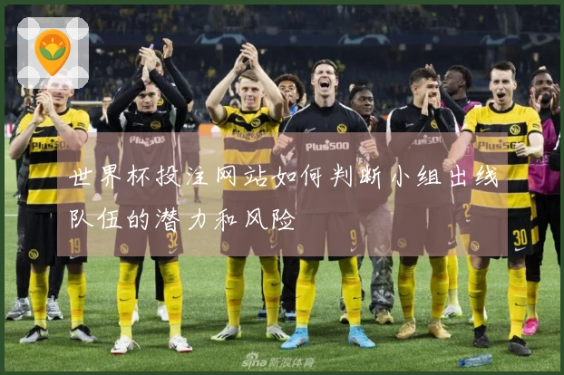 世界杯投注网站如何判断小组出线队伍的潜力和风险