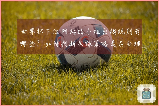 世界杯下注网站的小组出线规则有哪些？如何判断买球策略是否合理？