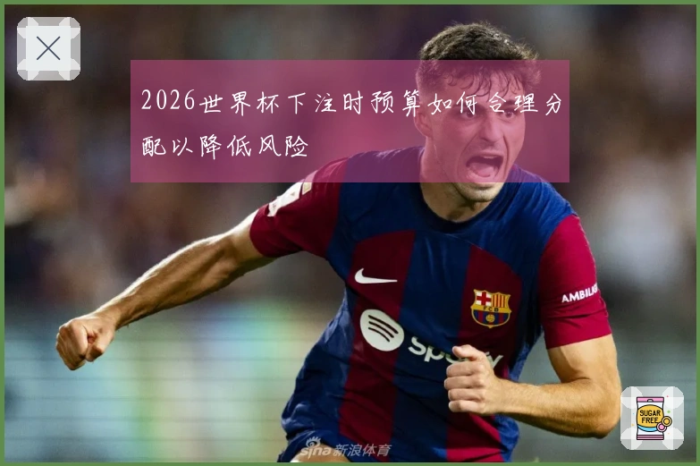 2026世界杯下注时预算如何合理分配以降低风险
