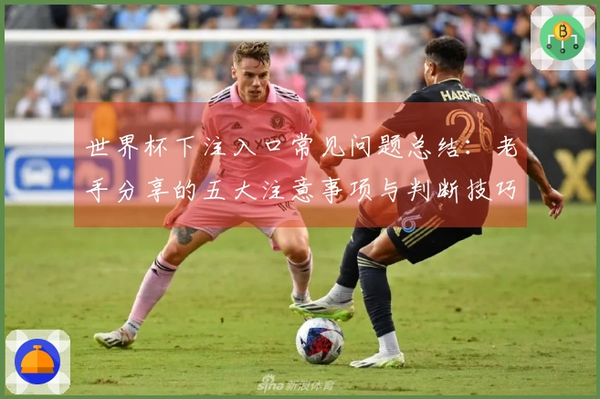 世界杯下注入口常见问题总结：老手分享的五大注意事项与判断技巧