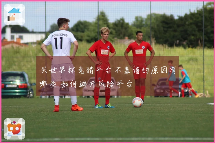 买世界杯竞猜平台不靠谱的原因有哪些 如何避开风险平台